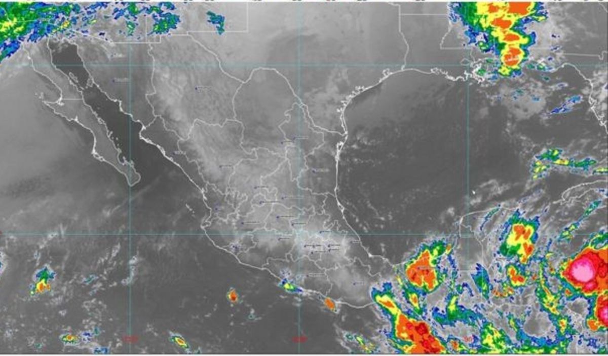 El Heraldo De Poza Rica Alerta Gris