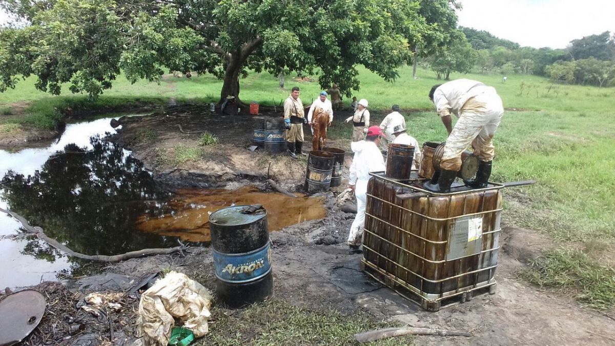 El Heraldo De Poza Rica Derrame De Hidrocarburo Provoca Ecocidio En