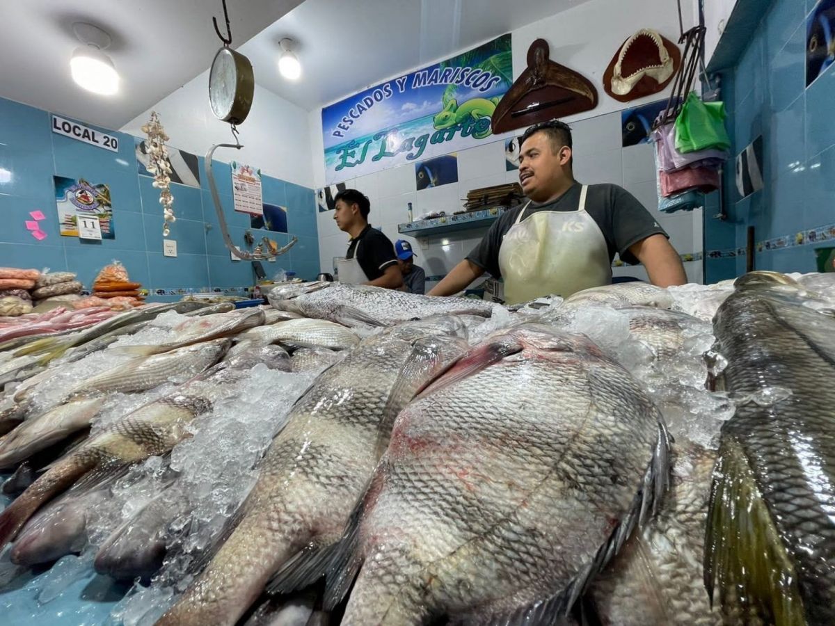 El Heraldo De Poza Rica Sin Repunte Venta De Pescados Y Mariscos