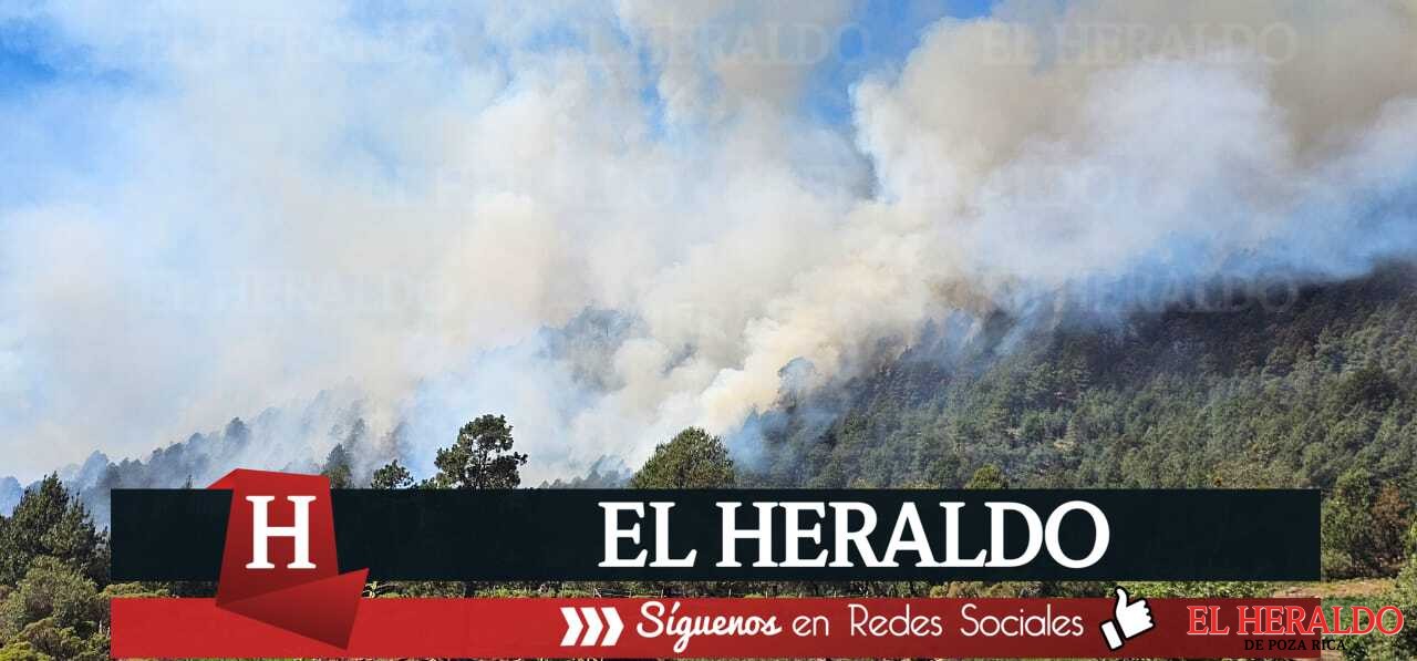 15INCENDIOS