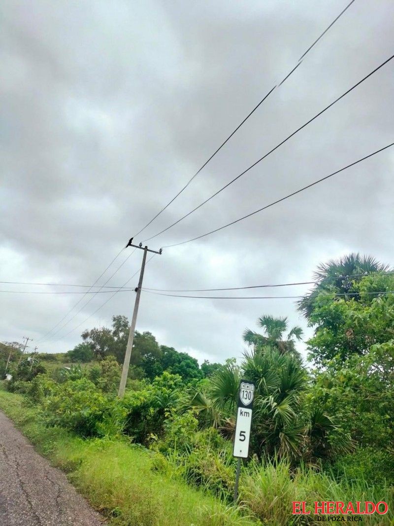 7c