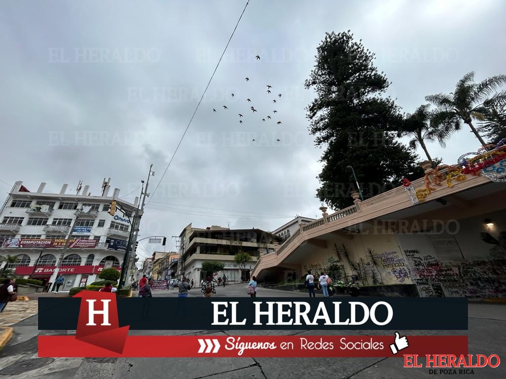 A pesar de negativa de colectivos