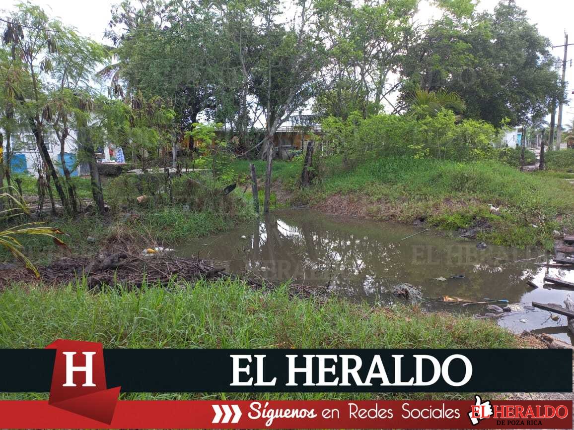 Asolvado esterillo en la Dante