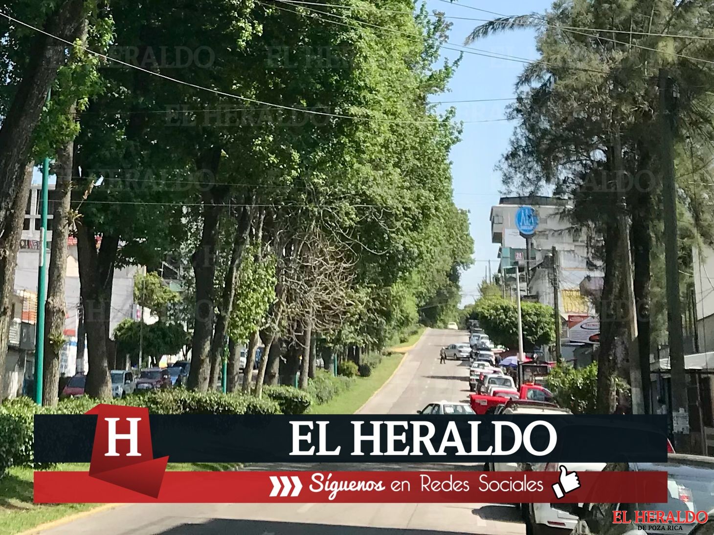 Avenida de Xalapa