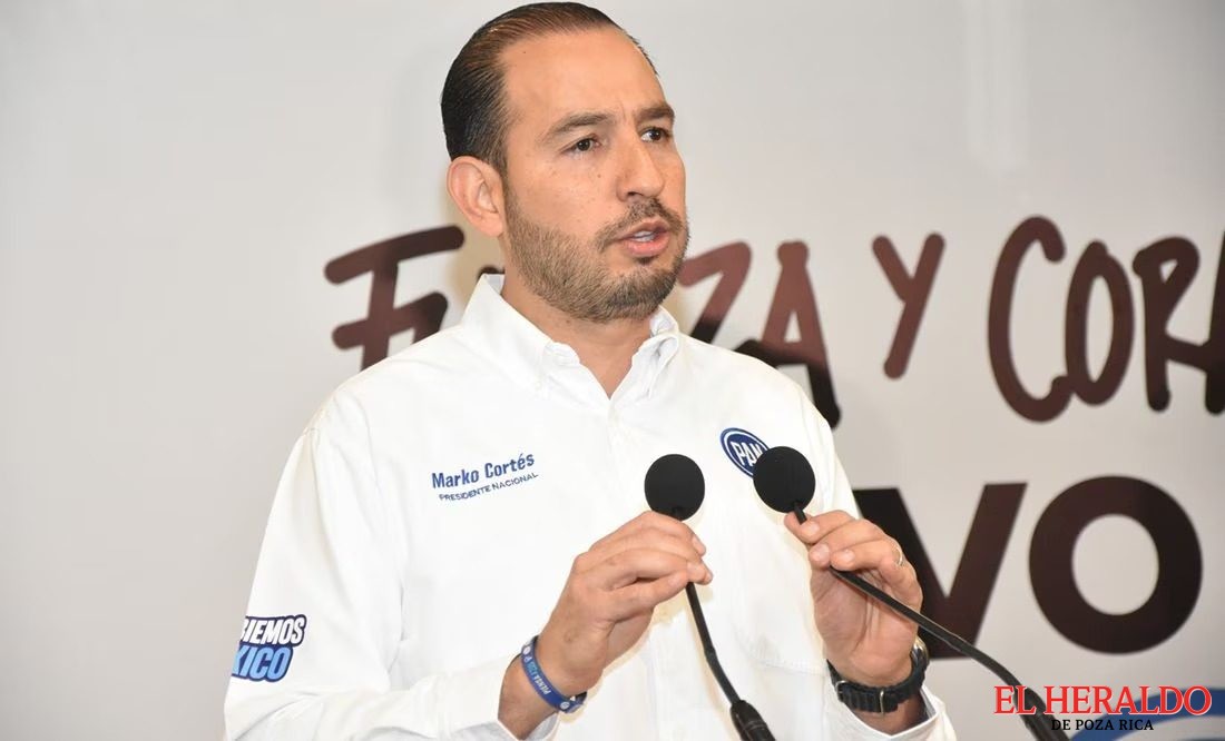 BCF4574D D34A 4597 86DC B9DE0227568D