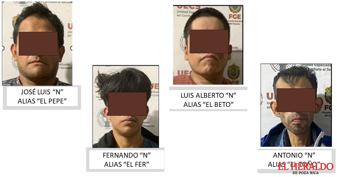 BOLETÍN VII