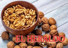 Conoce el alimento2