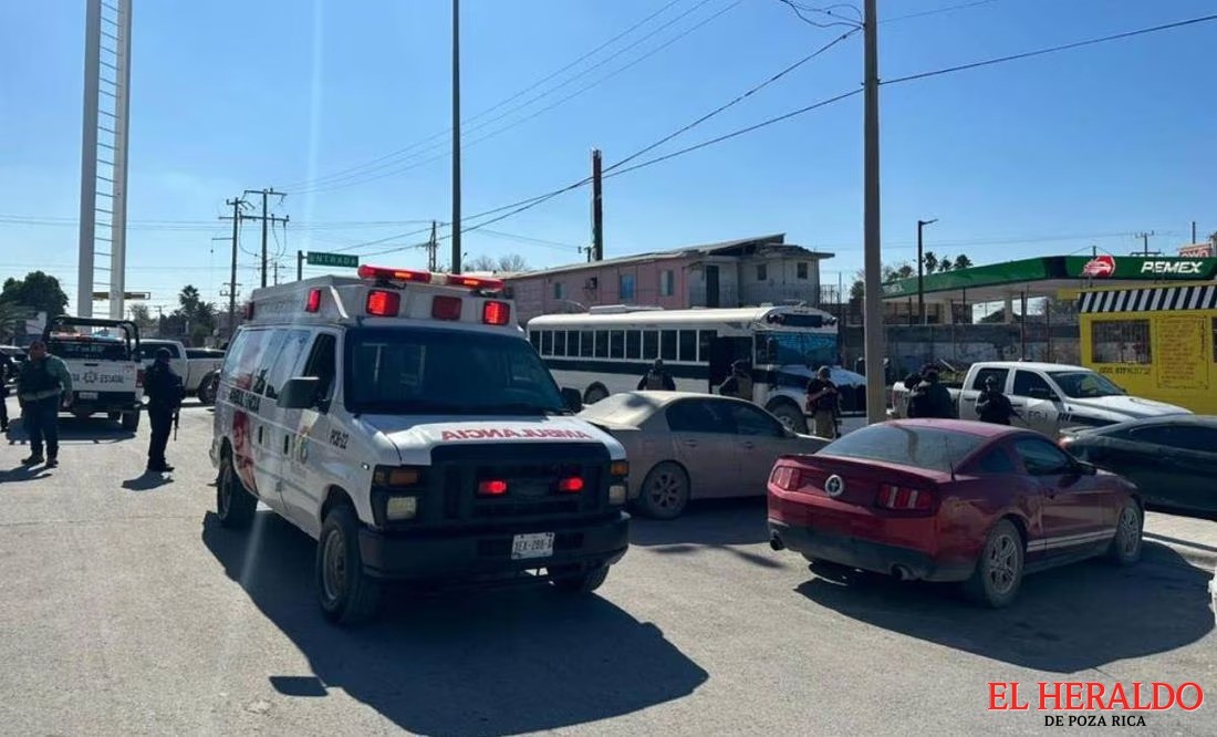 Dan tarjetas de visitantes