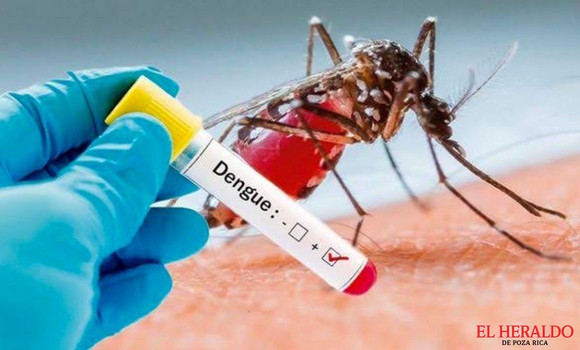 Dengue está imparable