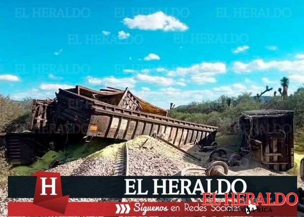 Descarrila tren
