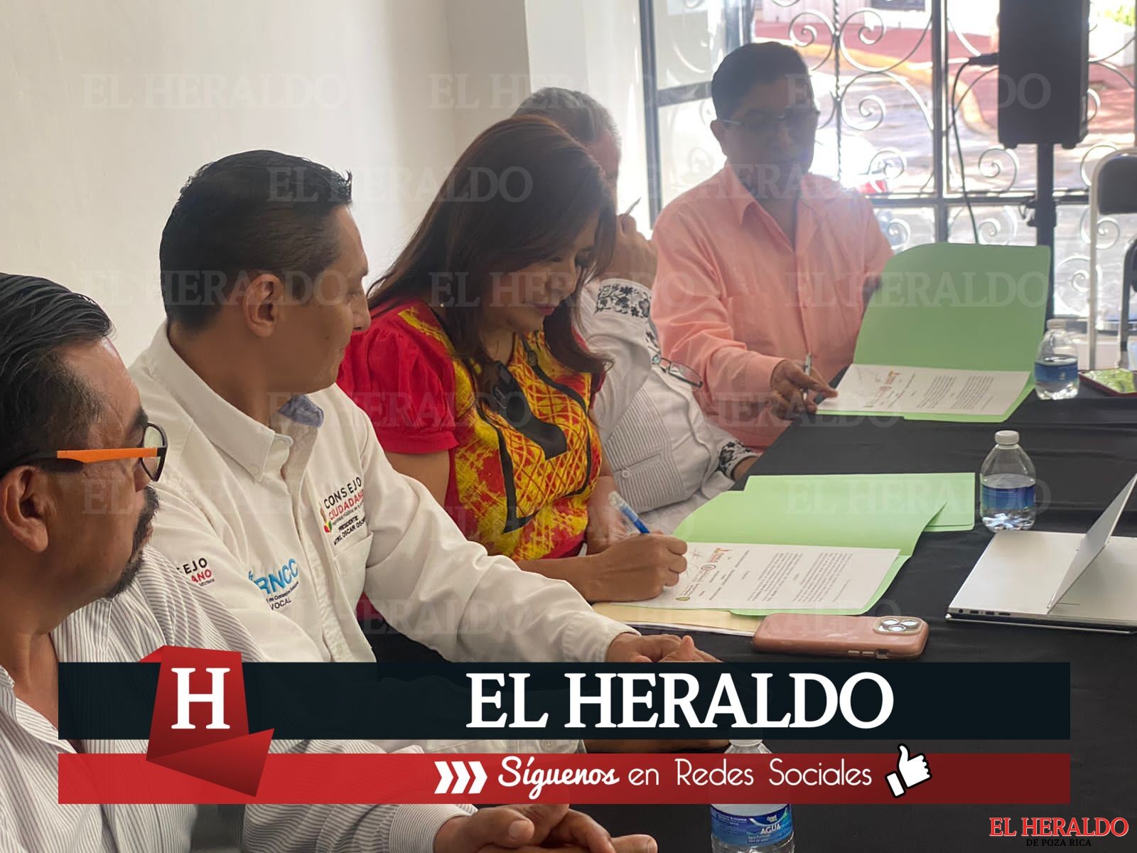 Diputada Federal Rosalinda