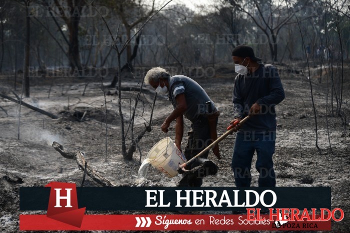 En dos meses se interponen 10 denuncias contra personas que iniciaron incendios en zonas federales