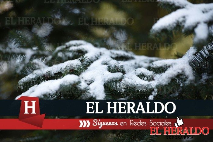 Este martes
