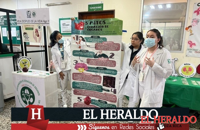 Feria de la donación