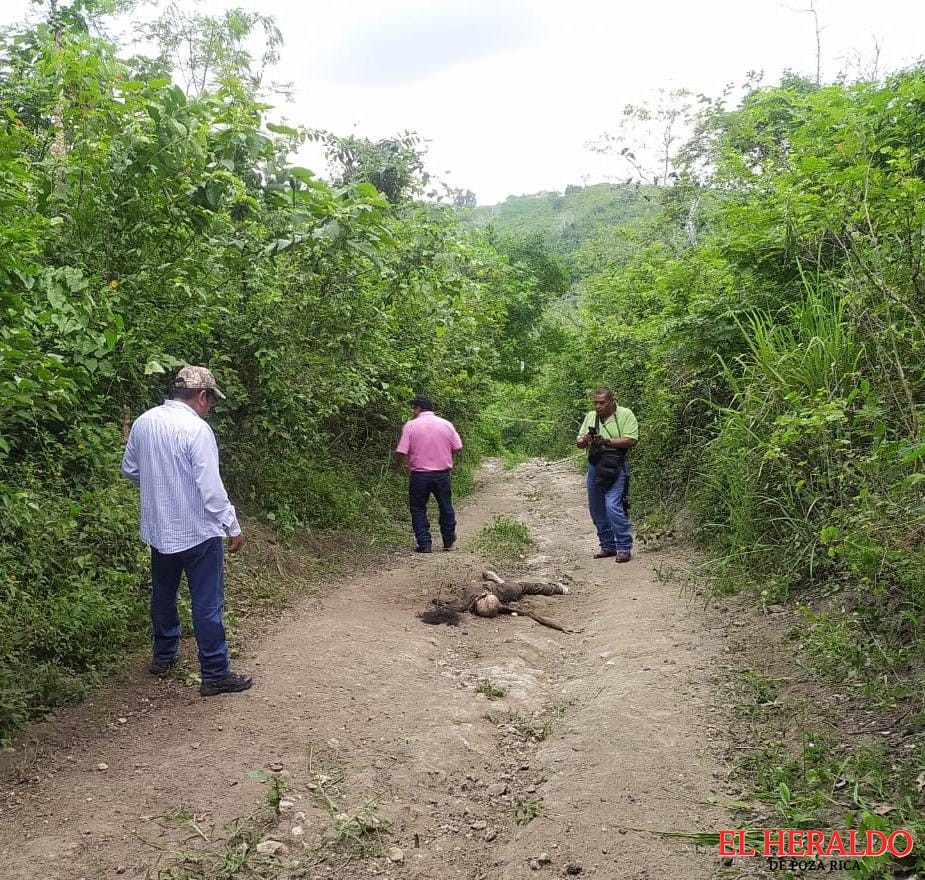 Hallan cuerpo putrefacto de desaparecida