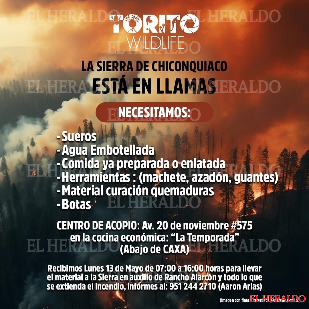 INCENDIOS2