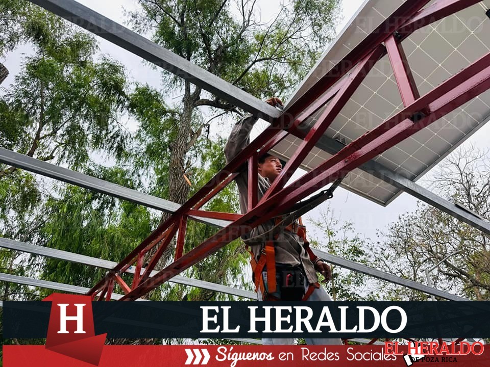 Martínez de la Torre 4