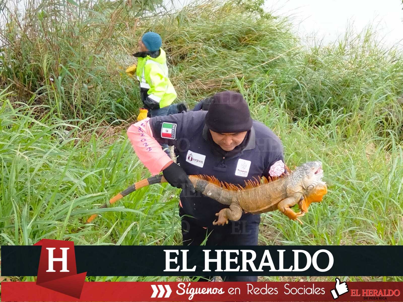 PC y Bomberos2