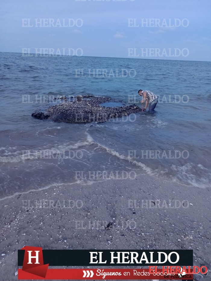 Pescadores denuncian