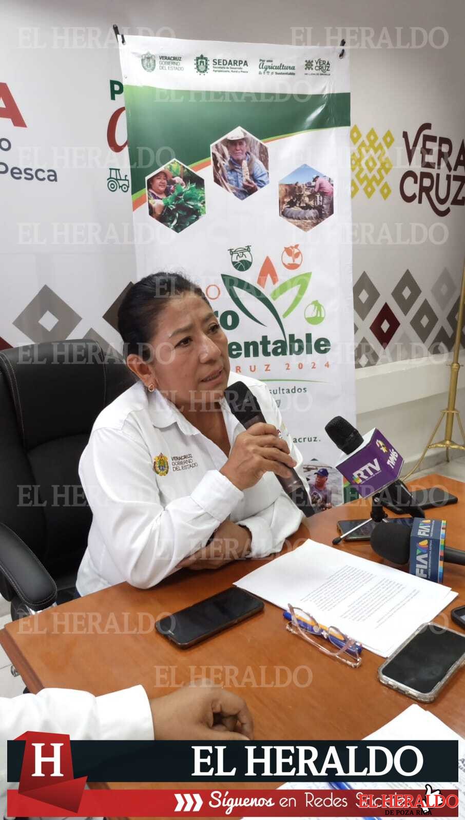 Presentarán productos libres de agroquímicos en Expo Agro Sustentable