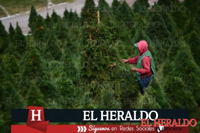 Proponen a productores