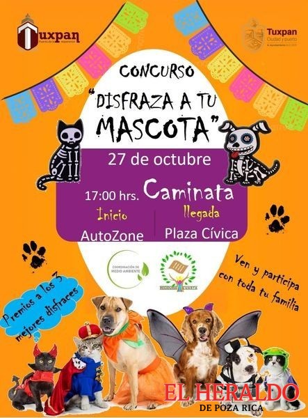 Quieres disfrazar a tu mascota