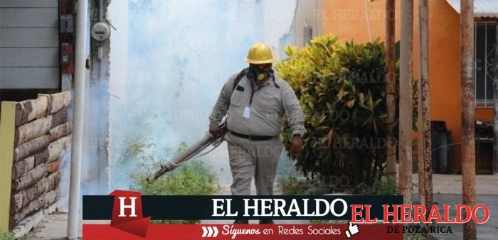 SSA alerta