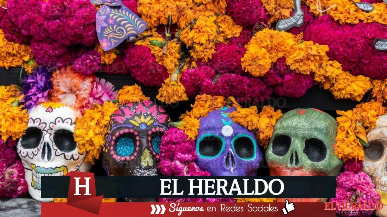 Se organizan las viejadas