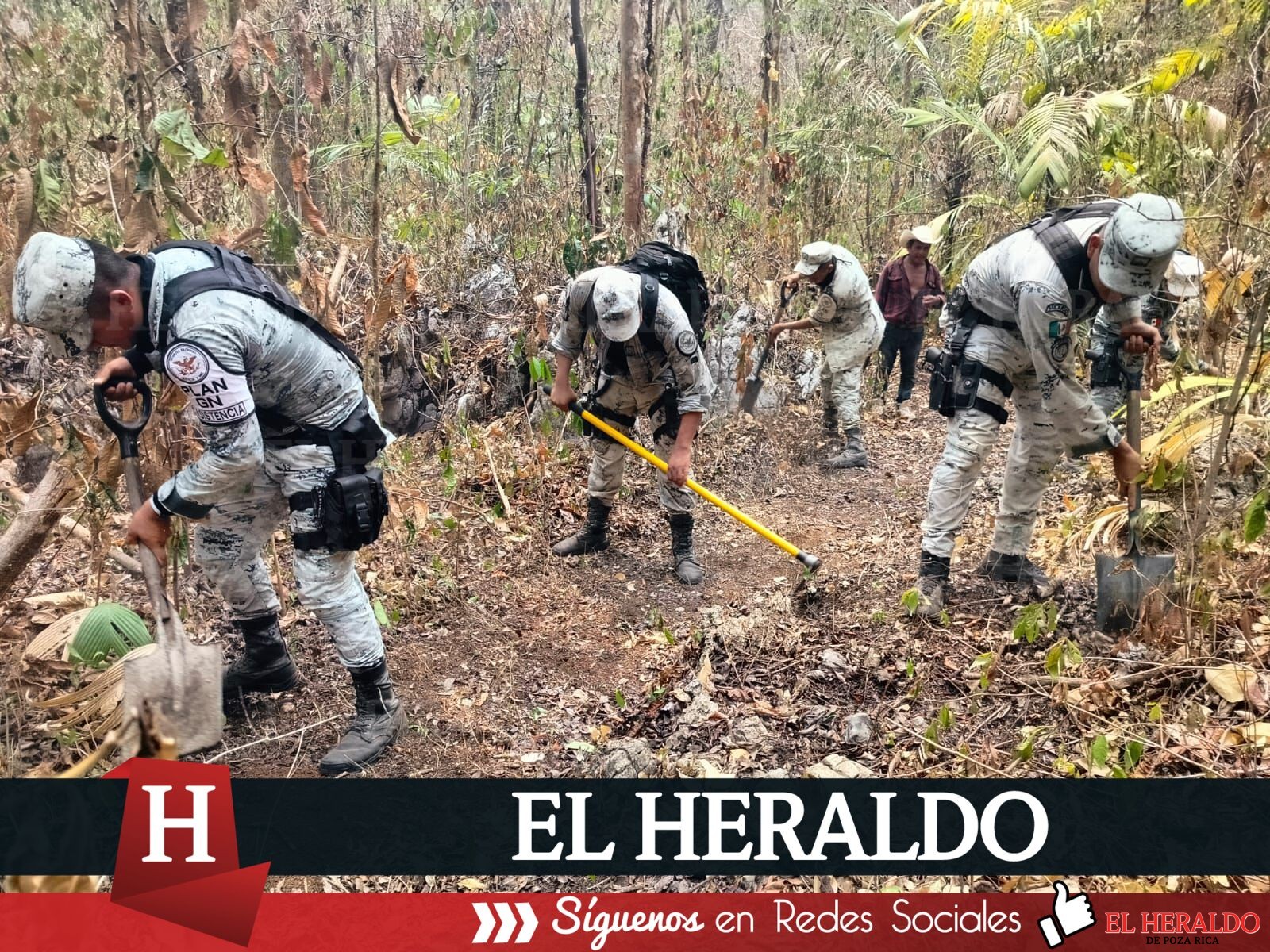 Se reactivó incendio en Uxpanapa más de mil 500 hectáreas afectadas hasta el momento 2
