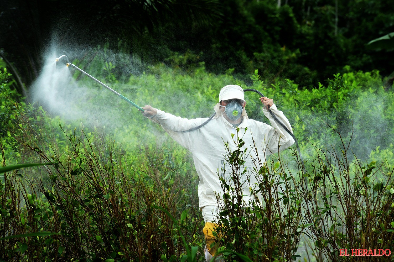 Seguirá importación