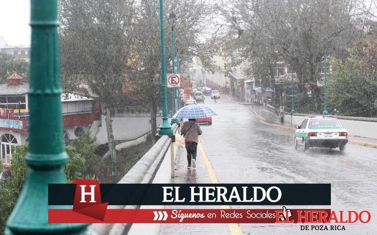 Seguirán presentes