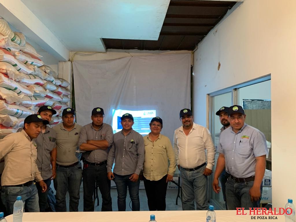 Si existen alternativas para el campo