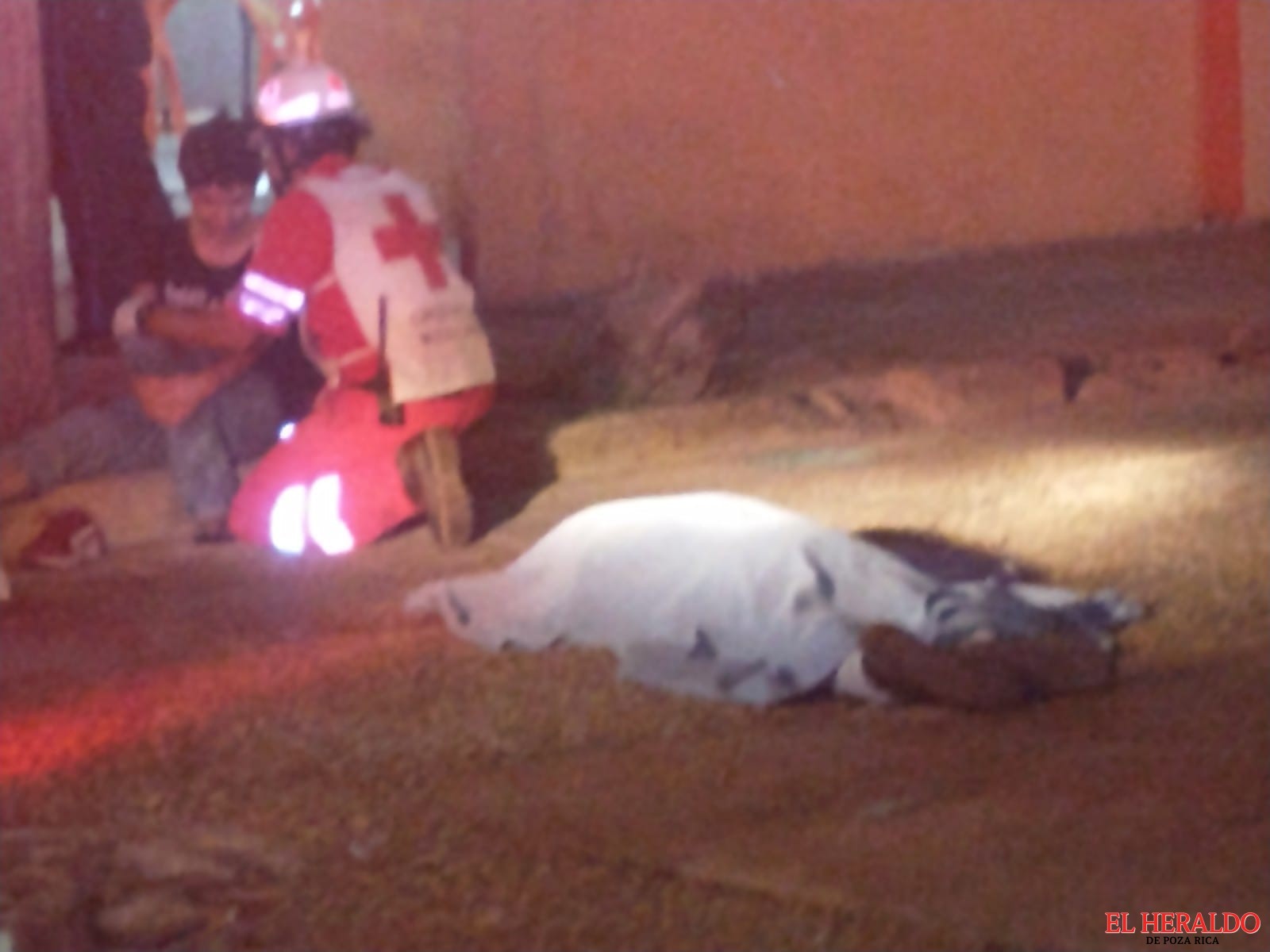 Urbano mata a adulto mayor y lesiona a meno