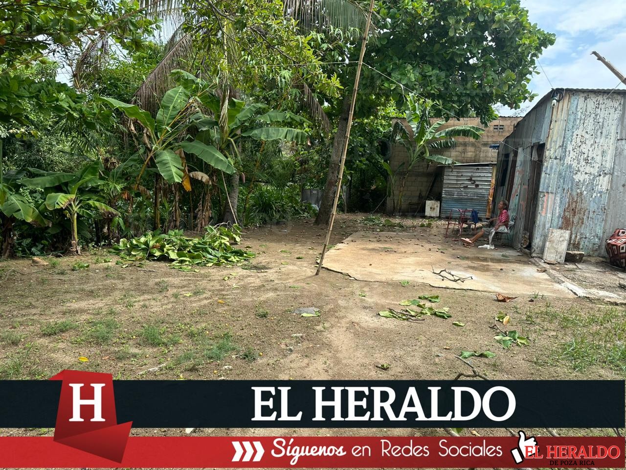 Vecinos de la colonia Progreso y Paz temen por par de cocodrilos en el canal 3