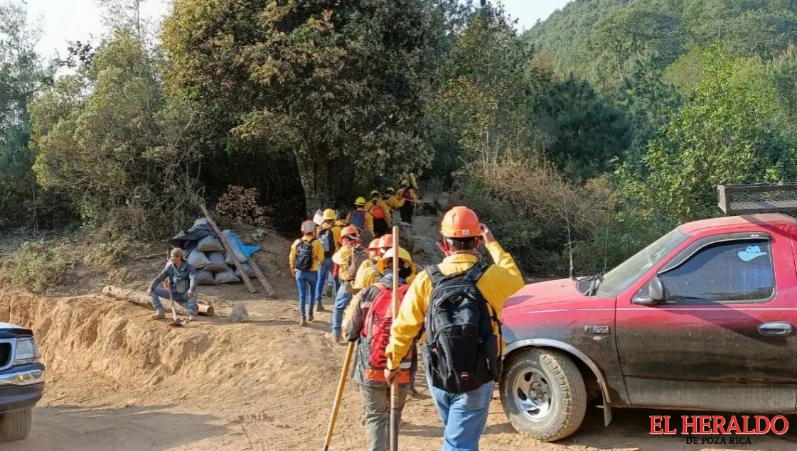 Voluntarios