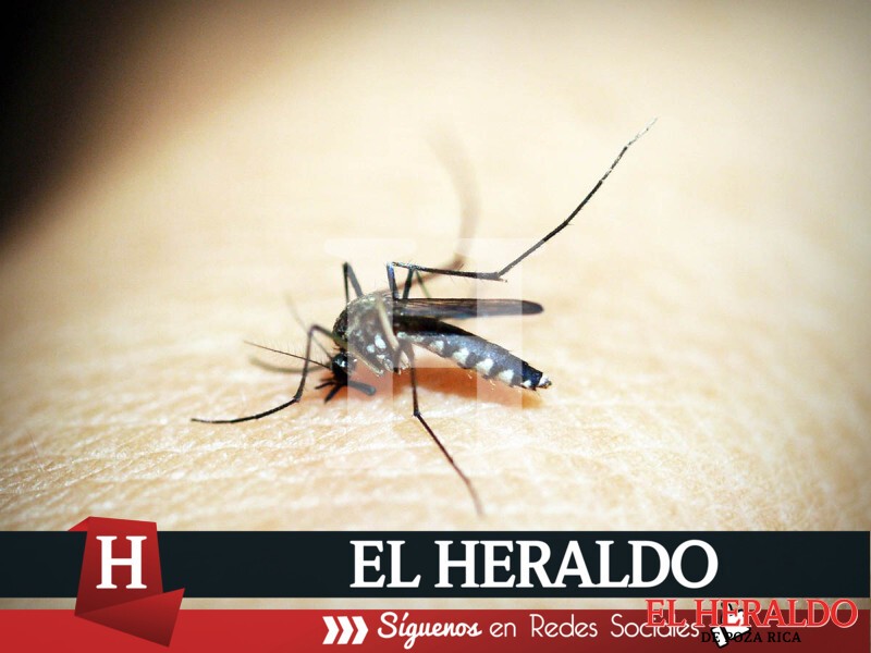 dengue peru 1