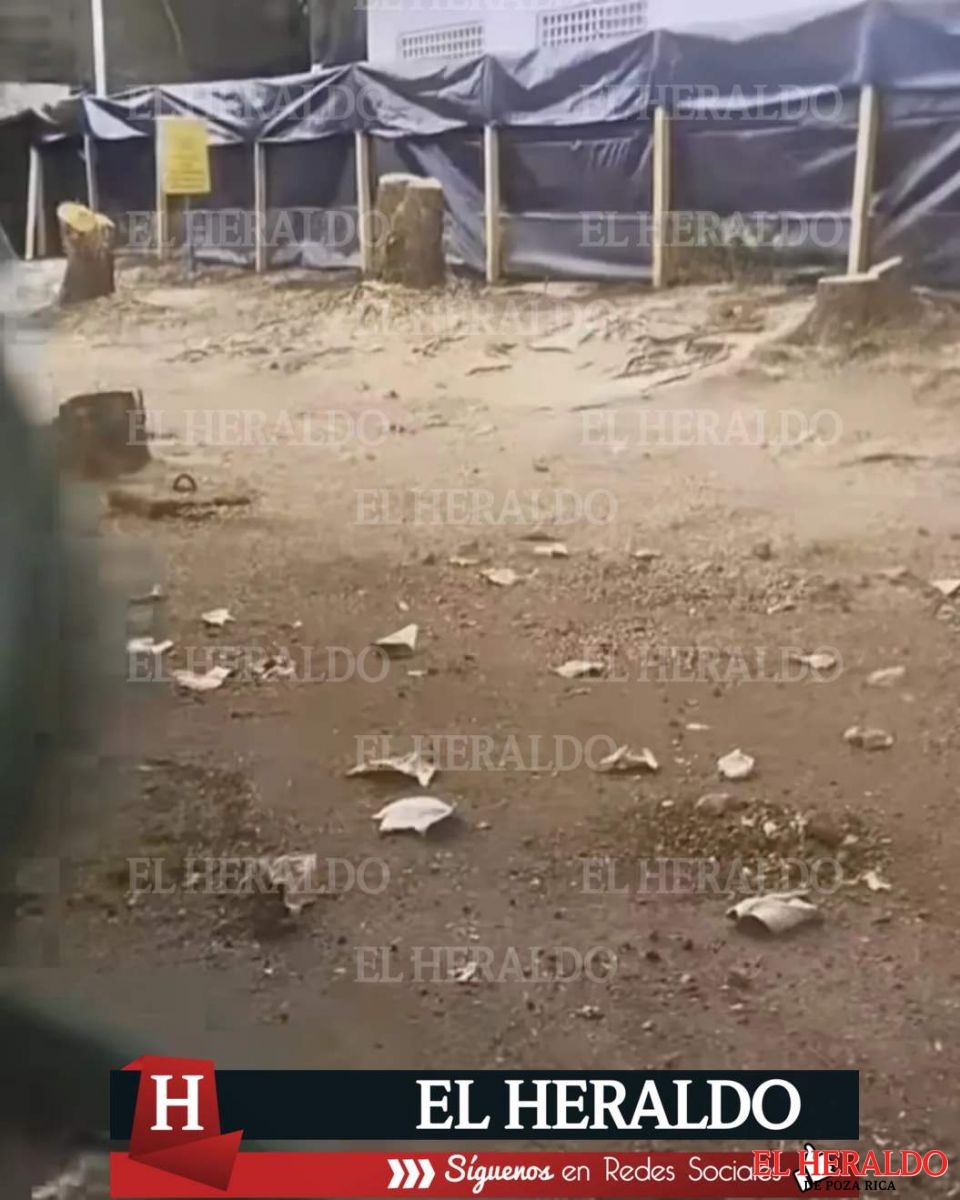 denuncian tala