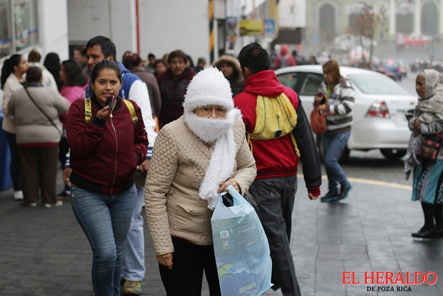 llega frente