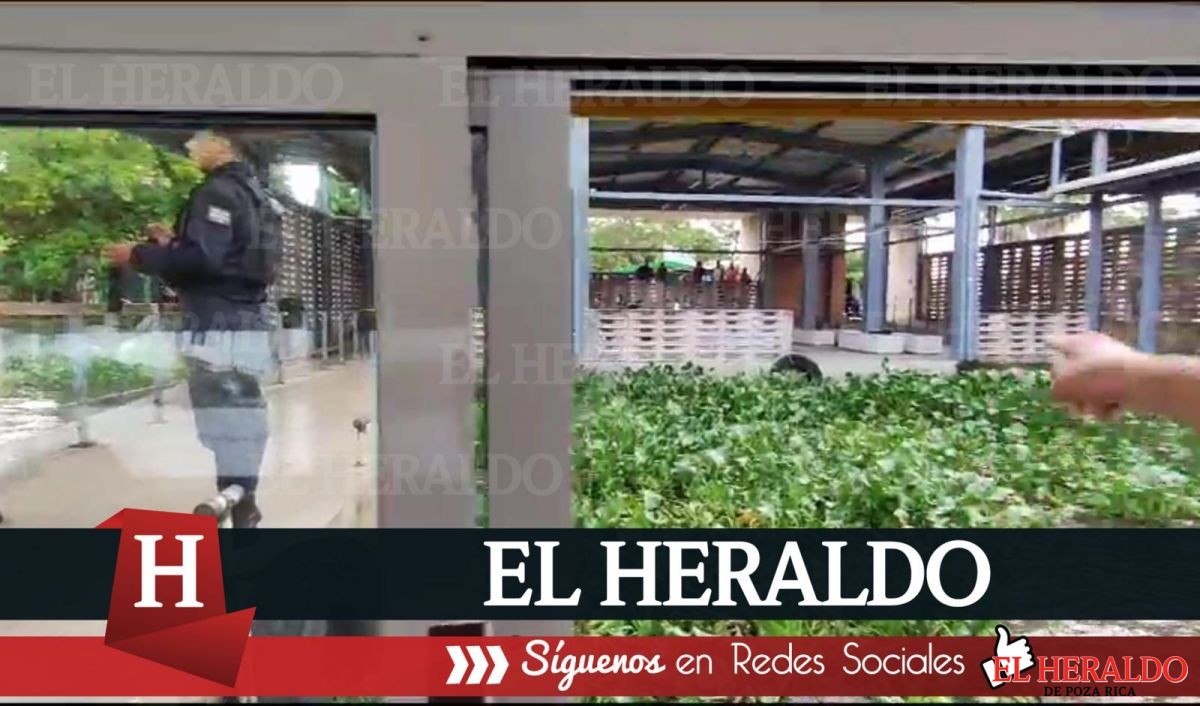 localizan cadaver en el rio 3