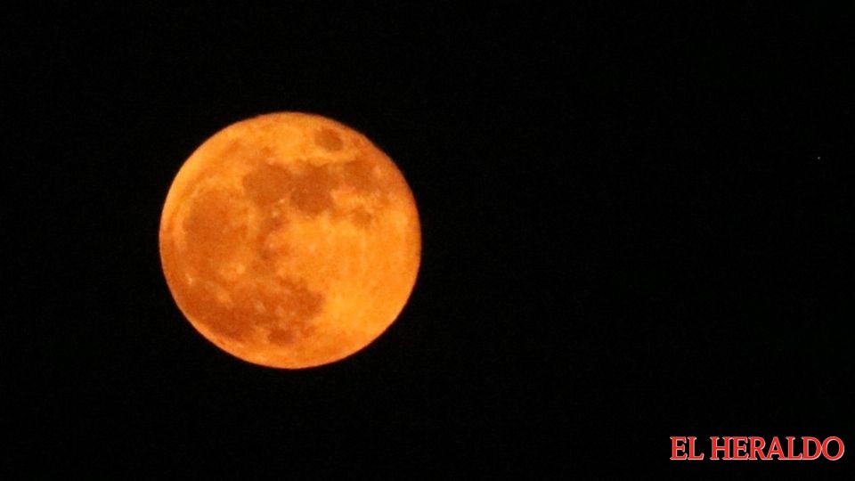 luna de lobo