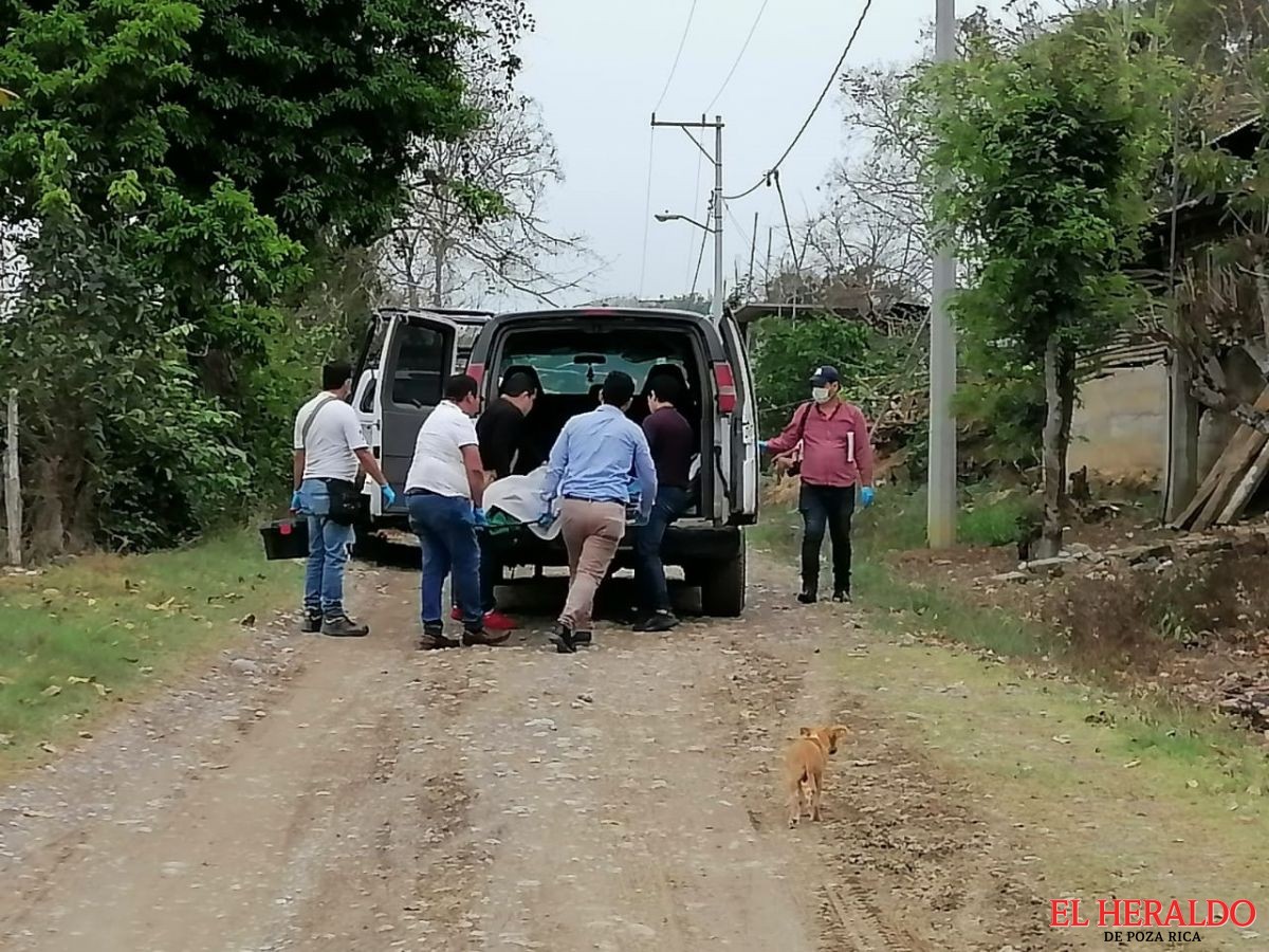 El Heraldo De Poza Rica Sexagenario Se Quita La Vida