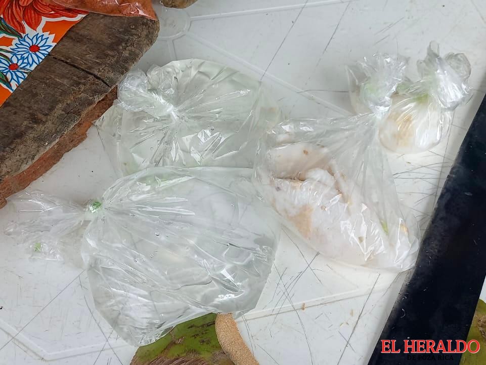 ventas de agua de coco 3