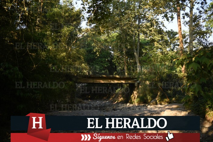 2023 podría
