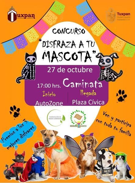 Quieres disfrazar a tu mascota