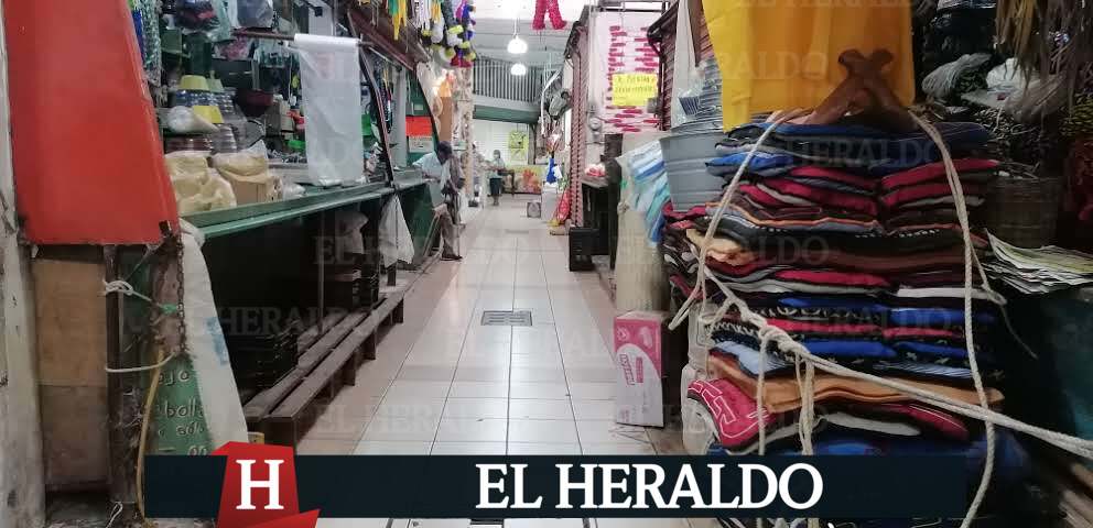 Nuevos proyectos 1