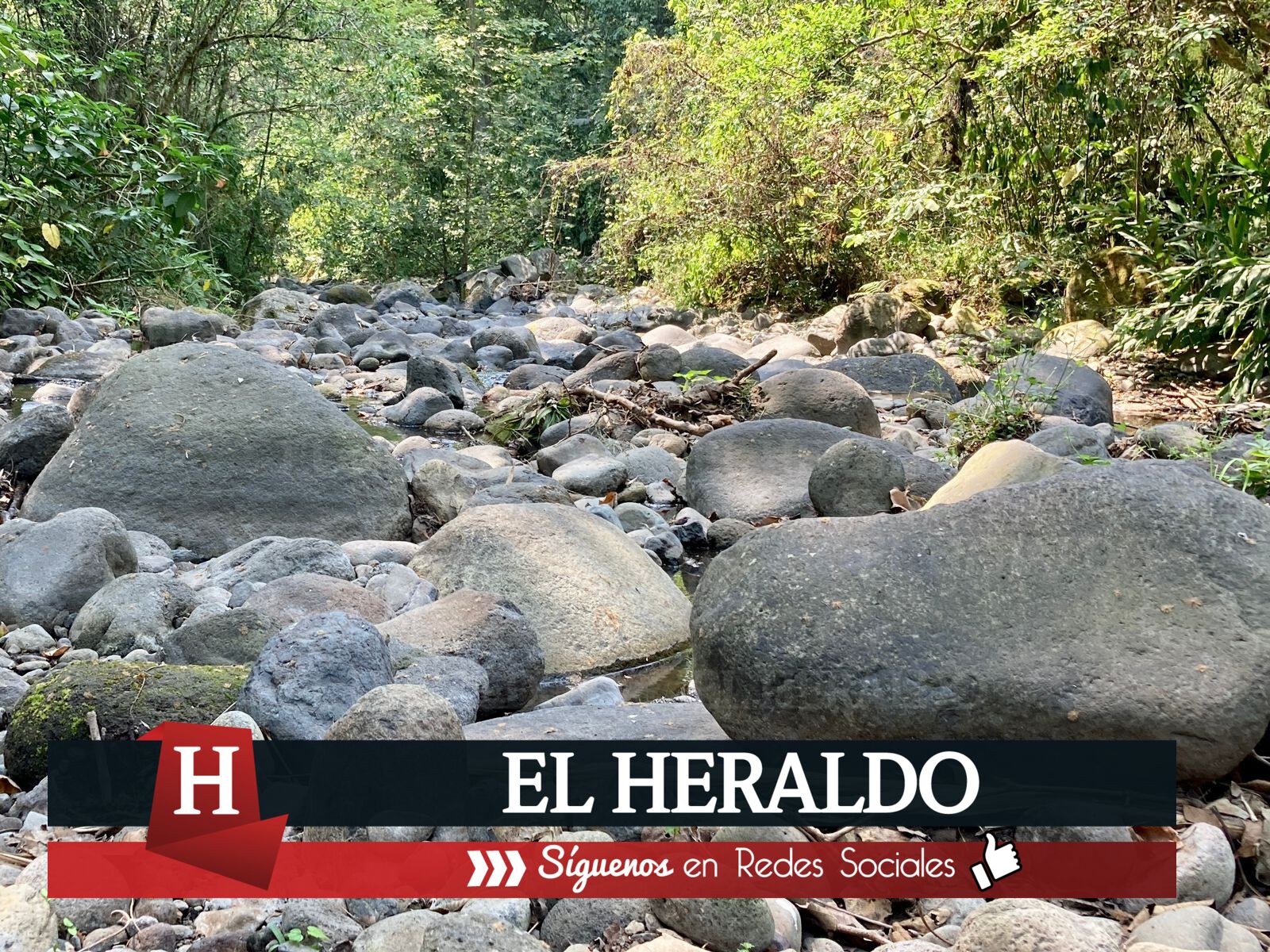 21 municipios