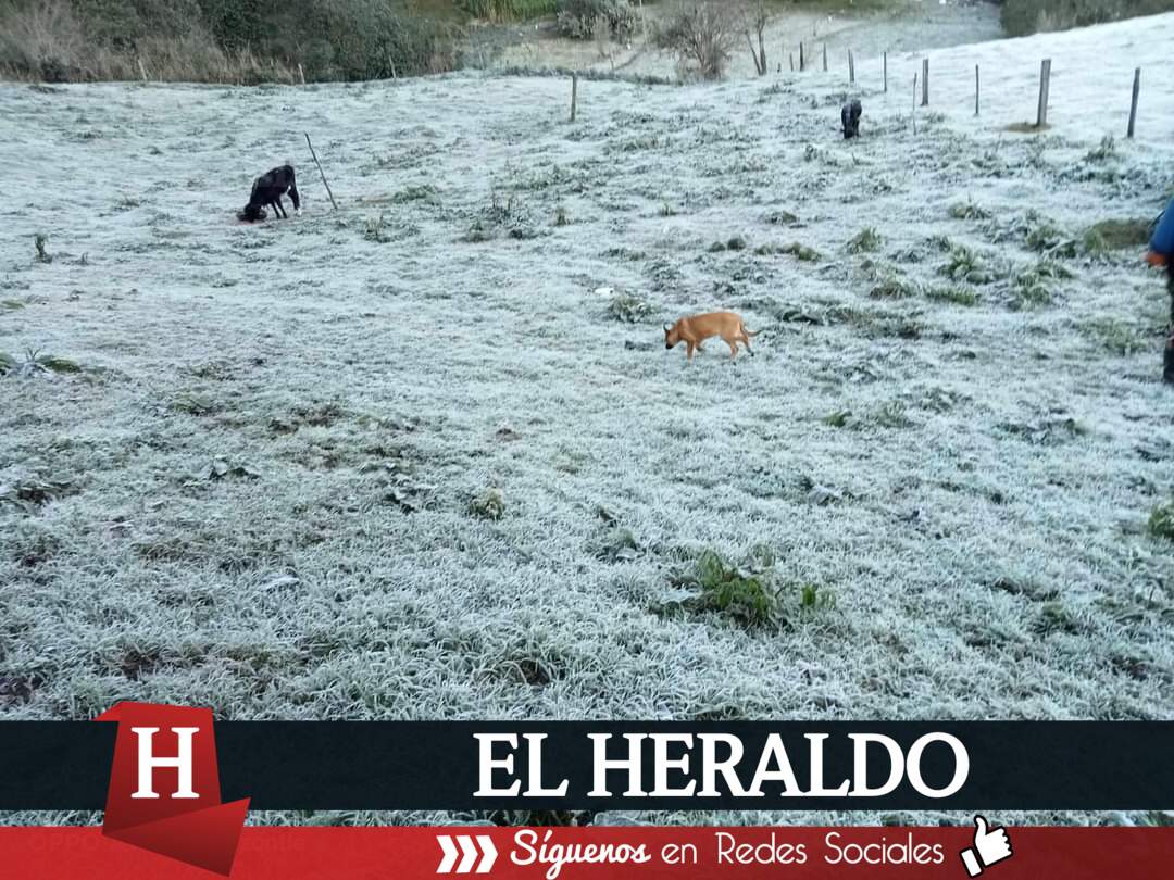 se registra la primer 1