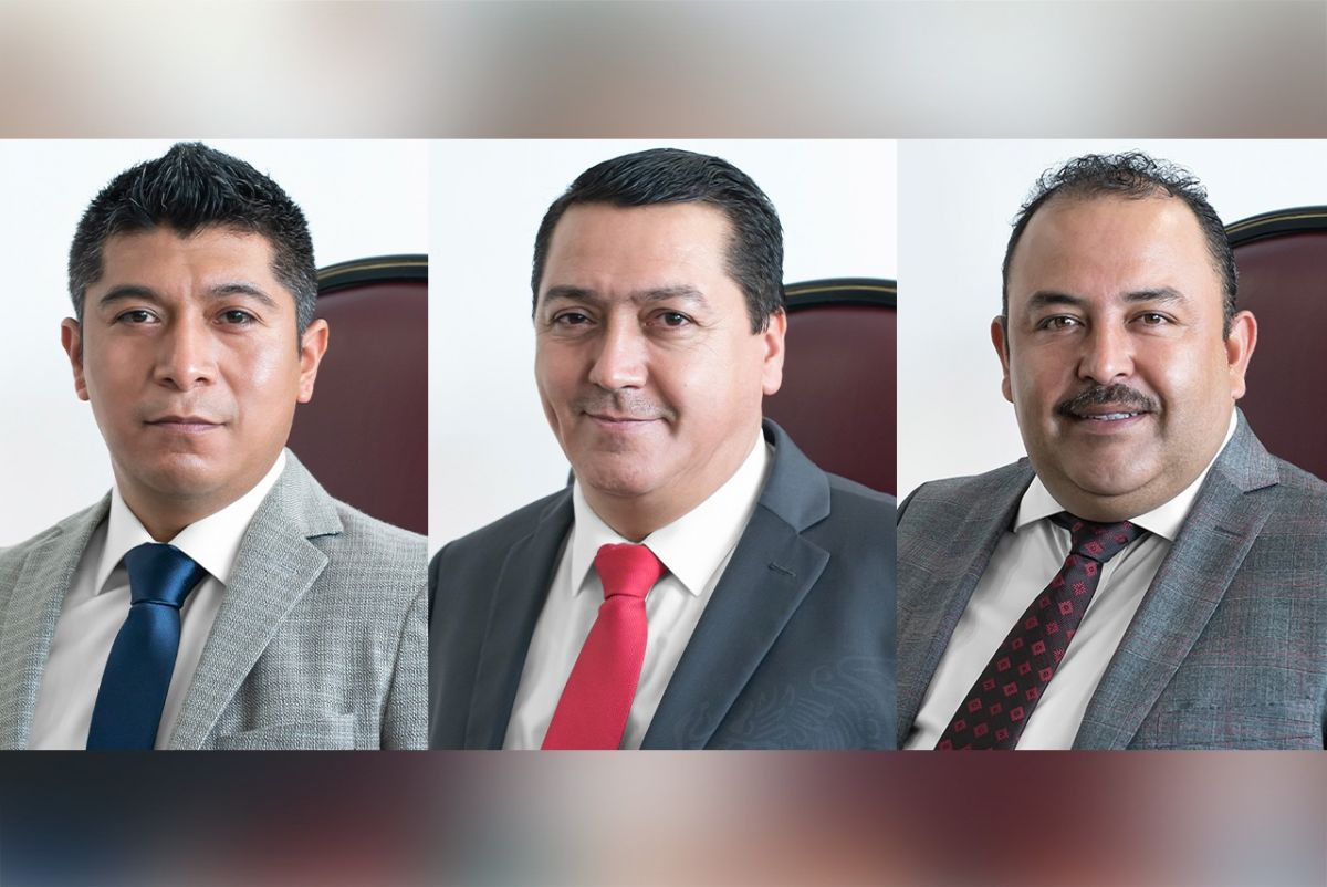 crean diputados