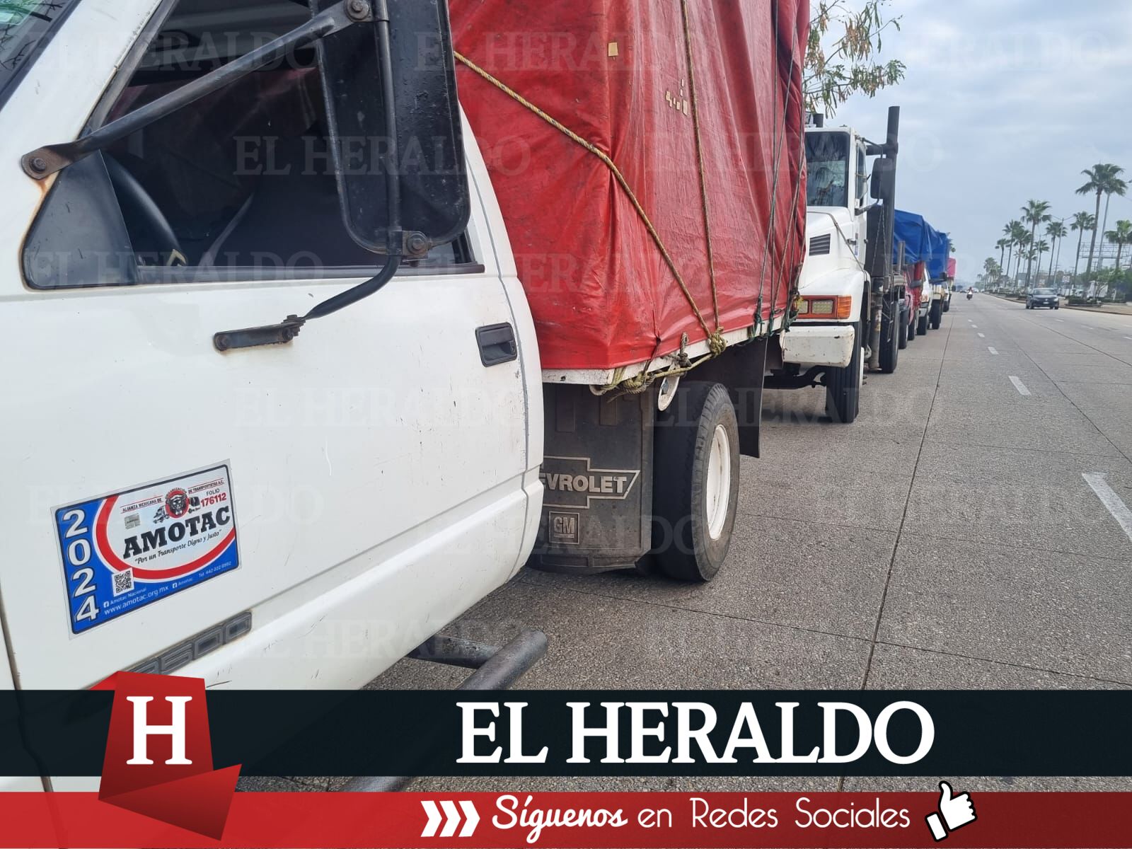 Se suman transportistas