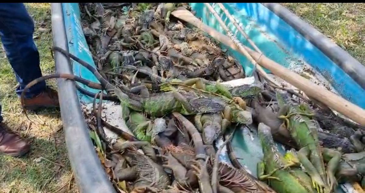detienen a pescadores3